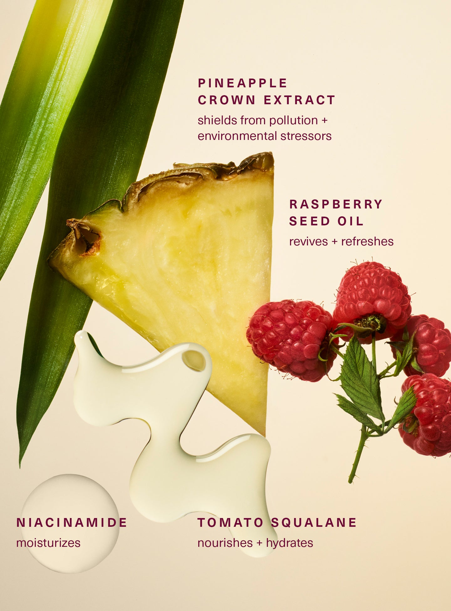 STYLIZED-FEEL-SEEN-MIST-INGREDIENTS.jpg