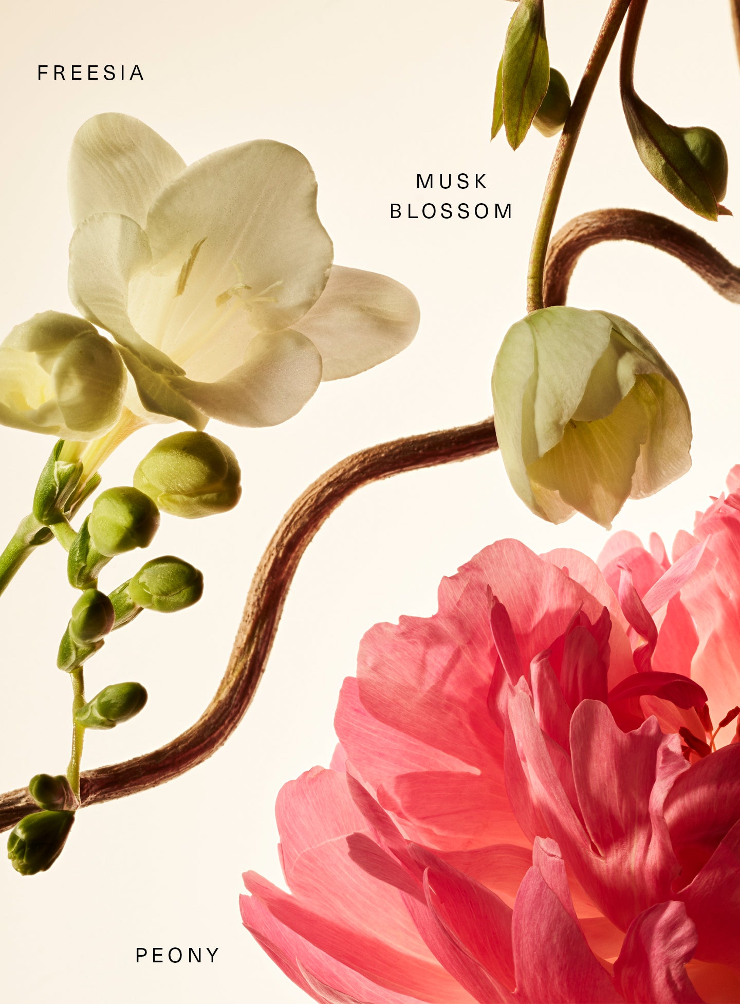 STYLIZED-FRAGRANCE-LAYERING-BALM-FLORAL-KEY-NOTES.jpg