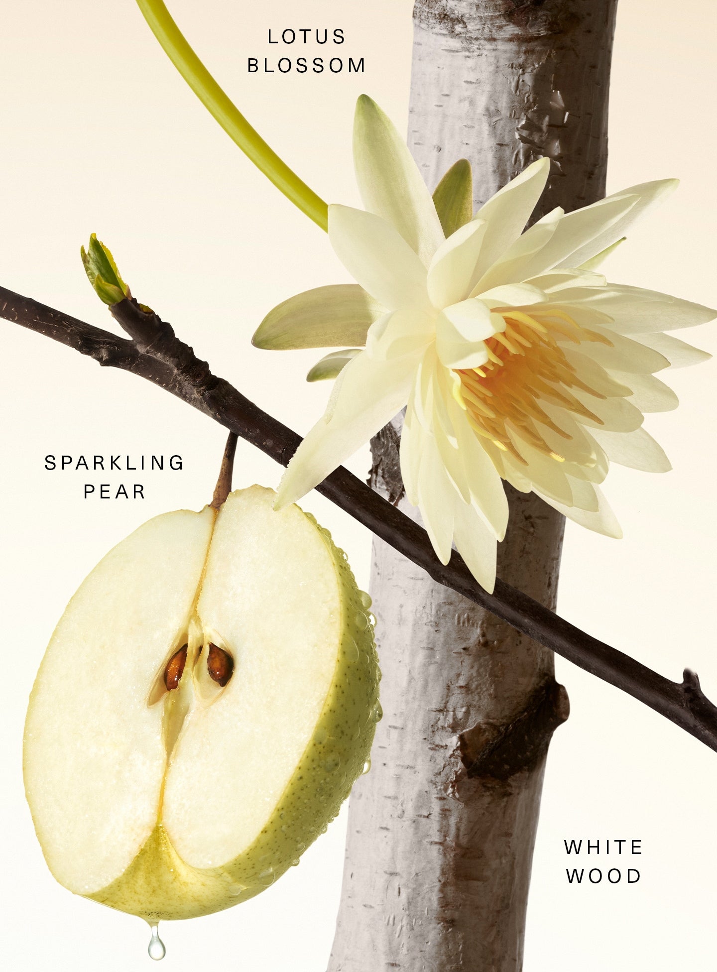 STYLIZED-FRAGRANCE-LAYERING-BALM-FRUITY-KEY-NOTES.jpg