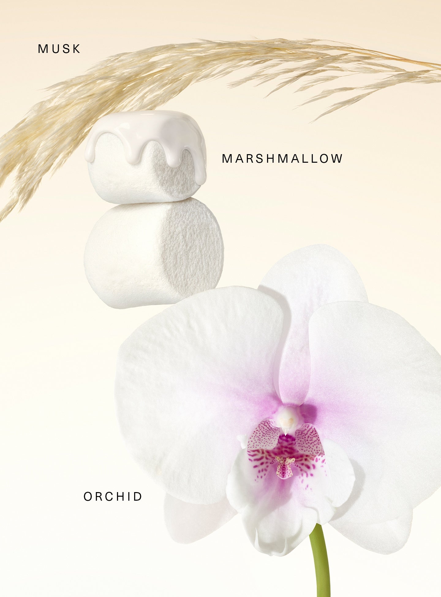 STYLIZED-FRAGRANCE-LAYERING-BALM-SWEET-KEY-NOTES.jpg