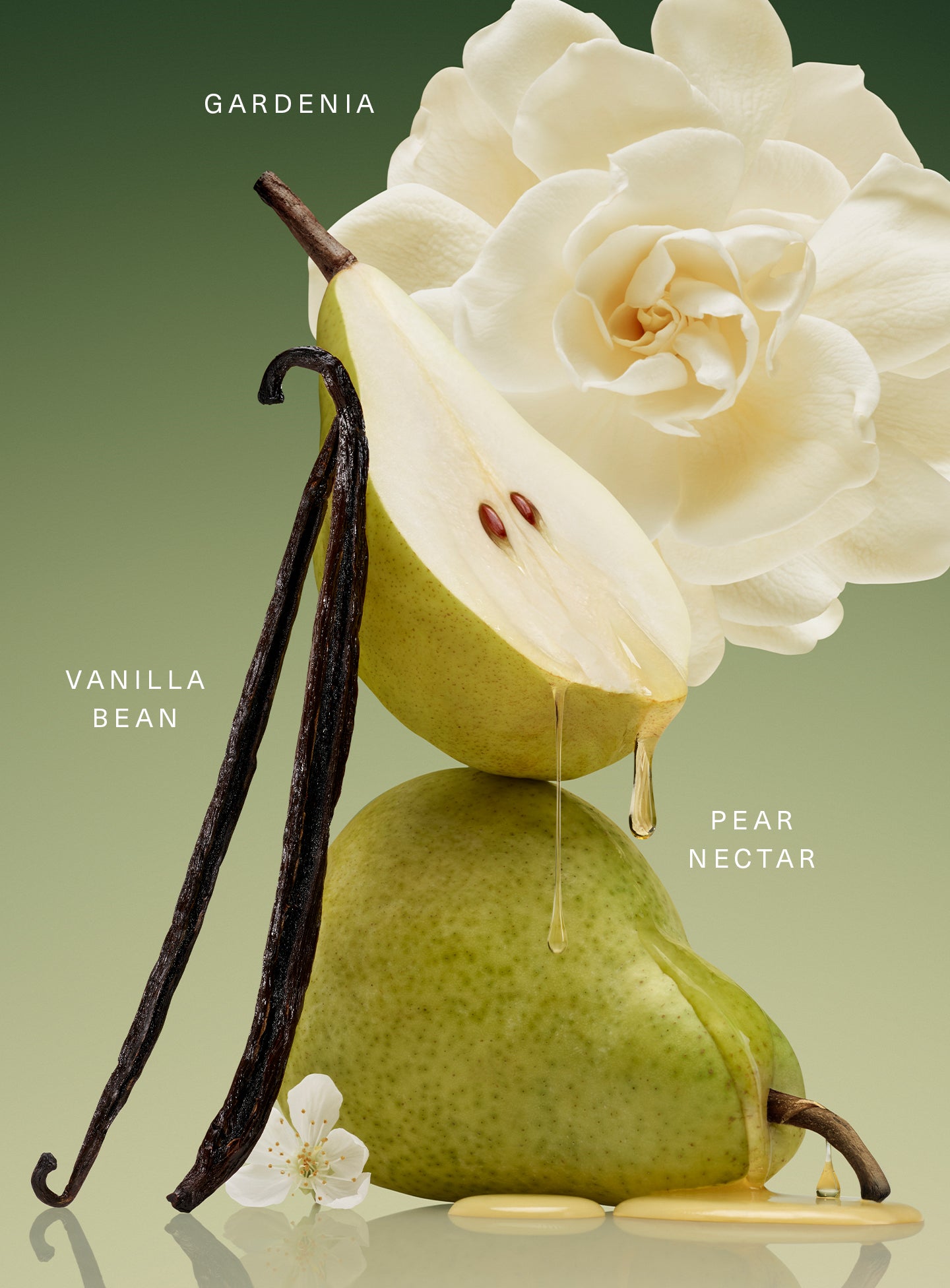 STYLIZED-RARE-BEGINNINGS-EDP-KEY-NOTES_0724a857-813b-49a6-a511-ba4d94bb7d28.jpg