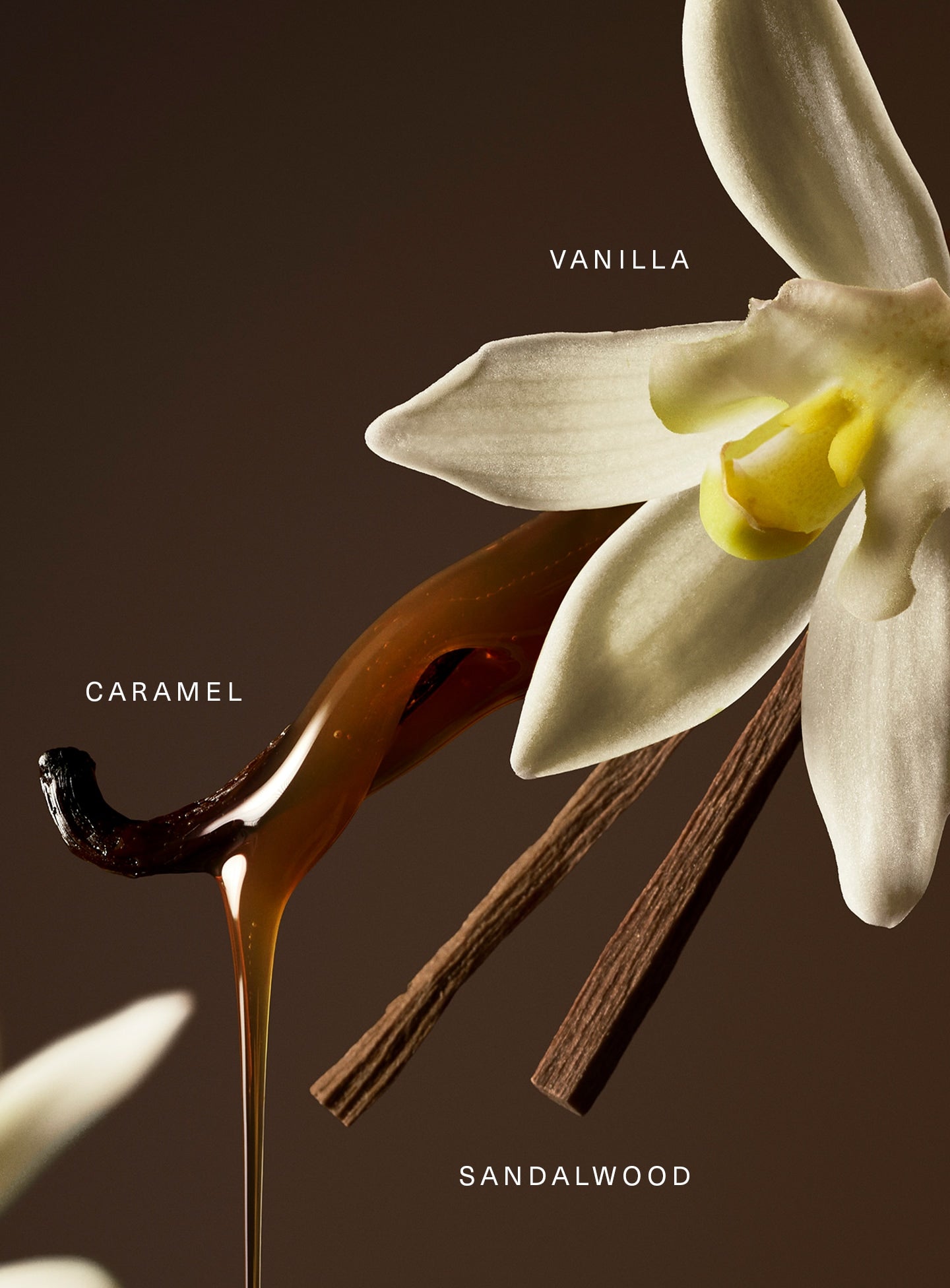 STYLIZED-RARE-EDP-KEY-NOTES.jpg